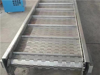 链板输送机 - 安平县建得金属制品有限公司图片6