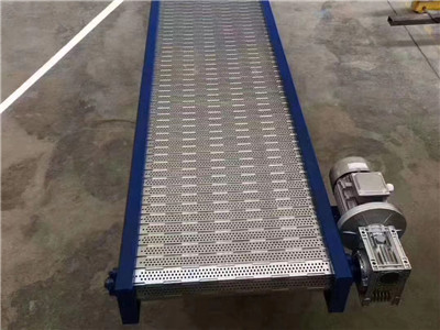 链板输送机 - 安平县建得金属制品有限公司图片8