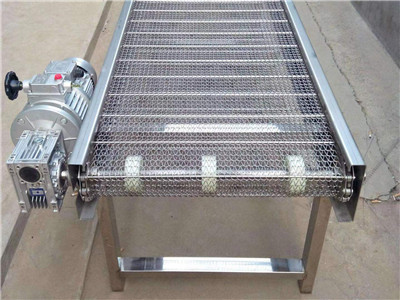 网带输送机 - 安平县建得金属制品有限公司图片4