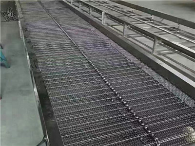 网带输送机 - 安平县建得金属制品有限公司图片7