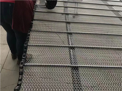 链条输送带案例 - 安平县建得金属制品有限公司图片3